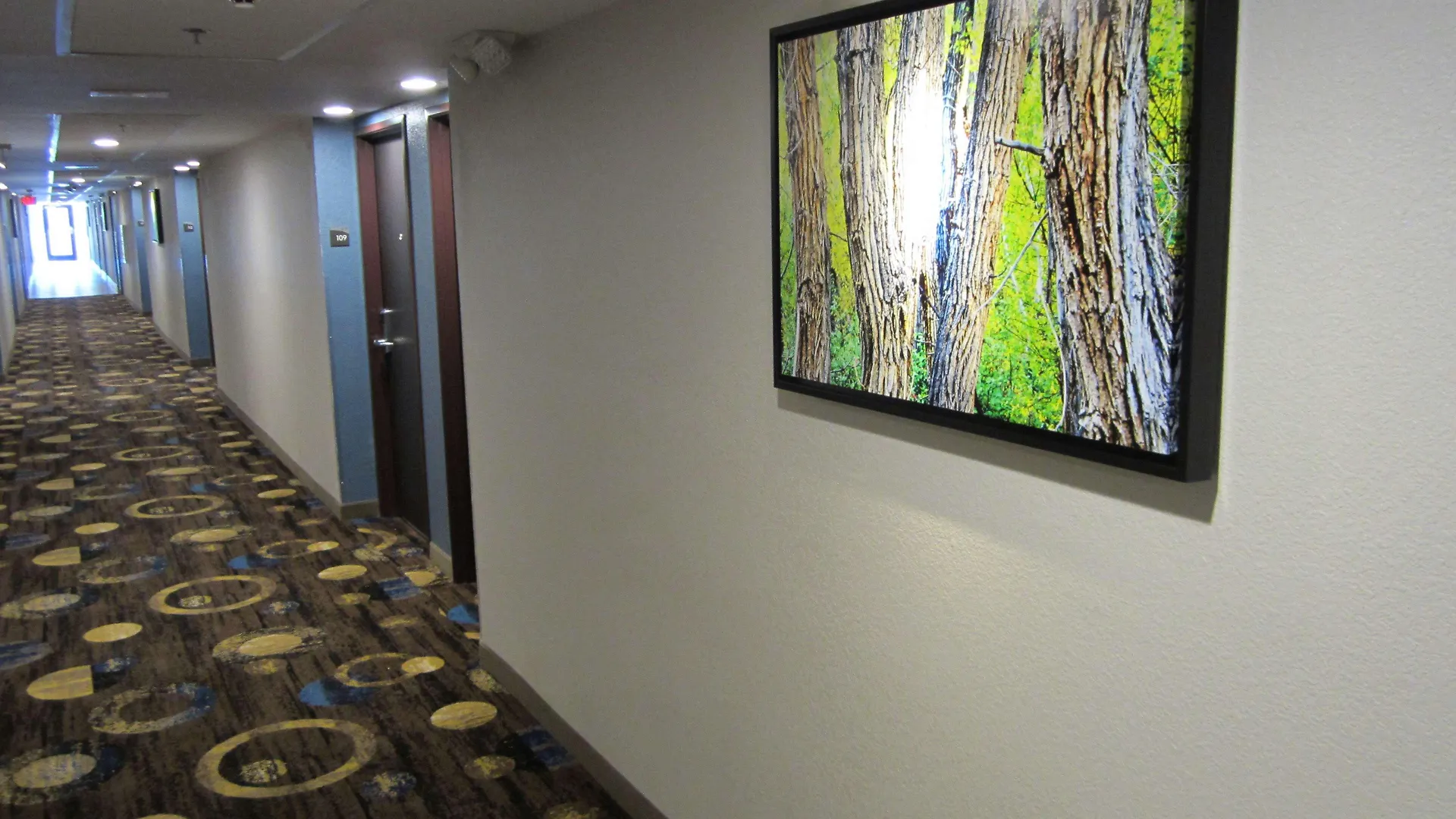 Best Western Plus Sunrise Inn Nashville 3*,  United States